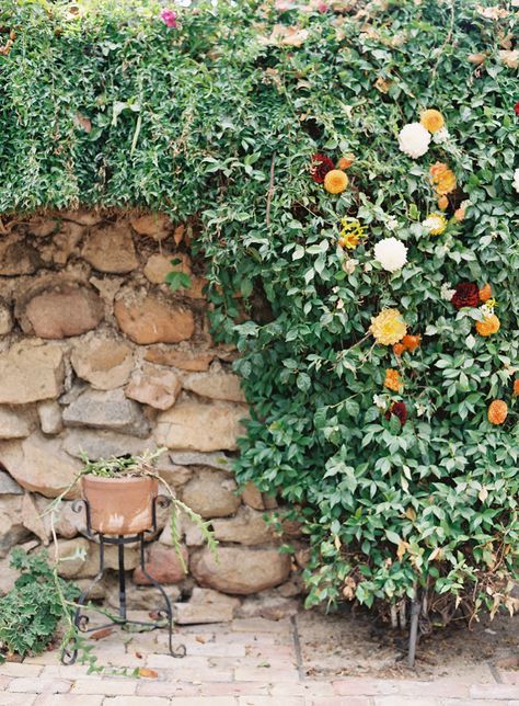 Fall San Diego Wedding at Rancho Buena Vista Adobe How I Wish, San Diego Photography, San Diego Wedding, Wedding Florals, Twinkle Lights, Wedding Bells, Secret Garden, Bride And Groom, Style Me Pretty