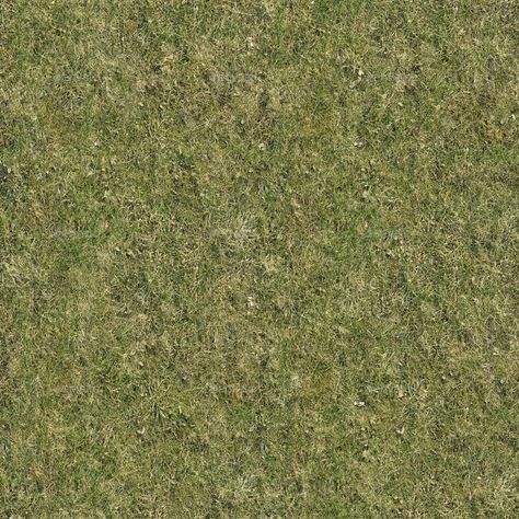 Grass Textures 031 #Grass, #Textures -  Grass Textures 031 #Grass, #Textures Grass Texture, Tree Photoshop, Photoshop Rendering, Hacks And Tips, Floor Texture, Bullet Journal Printables, Photoshop Elements, Modern Rustic, Graphic Poster