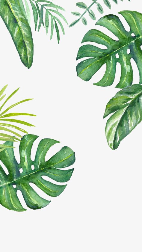 Trendy Plants, Jungle Pattern, Watercolor Iphone, Watercolor Plants, Plant Wallpaper, Cat Air, Plant Drawing, Watercolor Leaves, Leaf Wallpaper