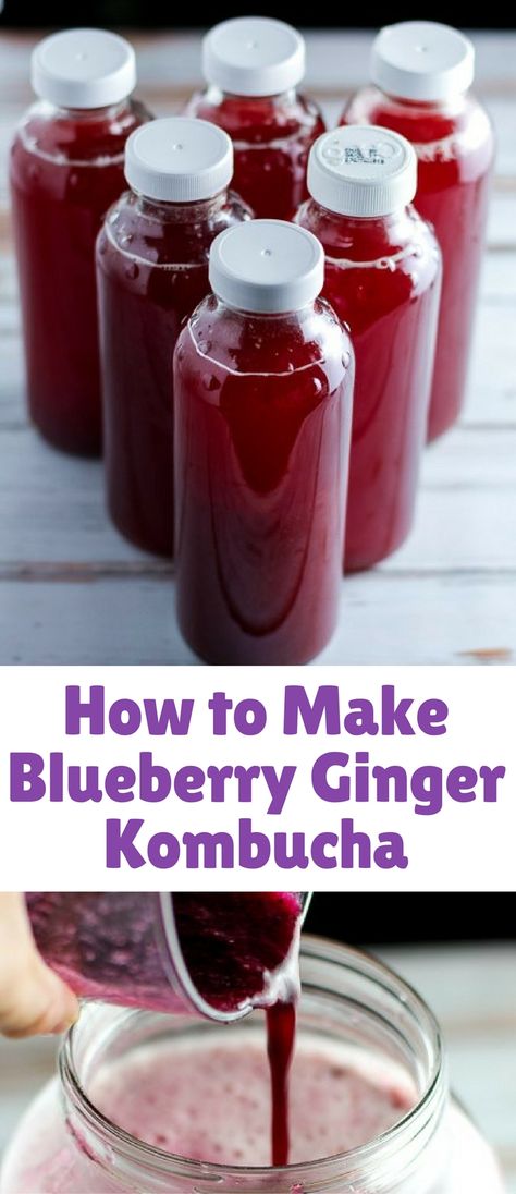 How to Make Blueberry Ginger Kombucha - Blogger Bests Ginger Kombucha Recipe, Blueberry Kombucha, Kombucha Flavors Recipes, Ginger Kombucha, Kombucha Flavors, Kombucha Scoby, Homemade Kombucha, Kombucha Recipe, Fermented Tea