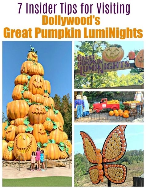 Dollywood Fall Outfit, Dollywood Park Halloween, Dollywood In The Fall, Dollywood Fall Festival, What To Wear To Dollywood In The Fall, Dollywood Harvest Festival, Dollywood Park Tips, Dollywood Fall, Dollywood Vacation