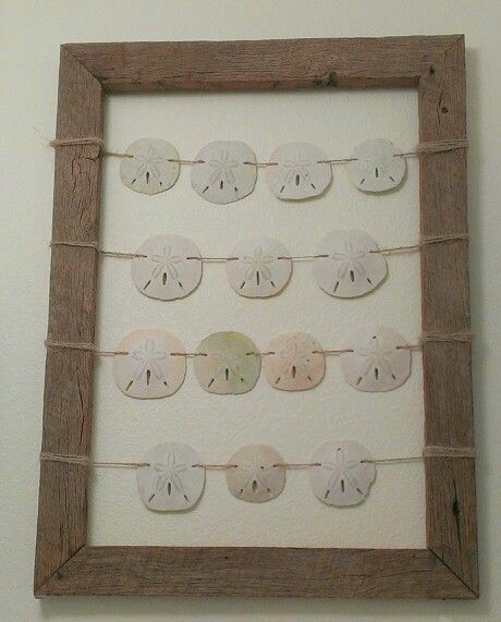 Sand Dollar Wall Hanging, Sand Dollar Home Decor, Sanddollar Crafts Home Decor, Sand Dollar Decorating Ideas, Diy Sand Dollar Decor, Sandollar Crafts Diy, Ways To Display Sand Dollars, Sand Dollar Wall Art, Sand Dollar Diy