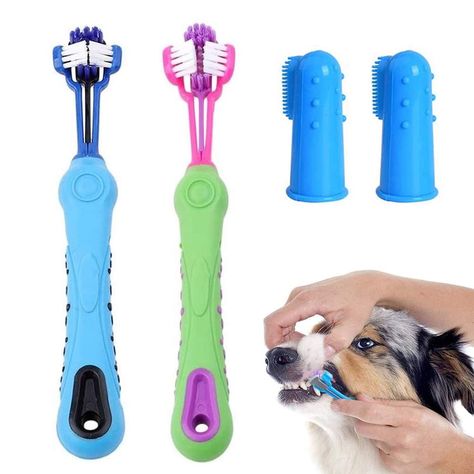 Dog Skin Care, Finger Toothbrush, Dog Toothbrush, Dog Teeth Cleaning, Led Dog Collar, Pet Cats, Soft Dog, Dog Essentials, Dental Cleaning