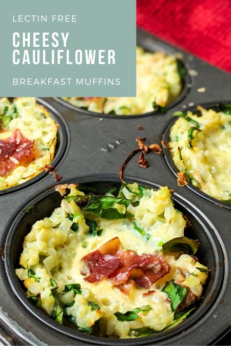 Get a delicious savory recipe for Plant Paradox compliant cheesy cauliflower breakfast muffins, perfect for back-to-school mornings or grab-and-go snacks. Lectin Free Cauliflower Recipes, Plant Paradox Dessert Recipes, Lectin Free Breakfast Ideas, Lectin Free Breakfast Recipes, Plant Paradox Breakfast Recipes, Plant Paradox Breakfast, The Plant Paradox Recipes, Lectin Free Snacks, Lectin Free Recipes Gundry