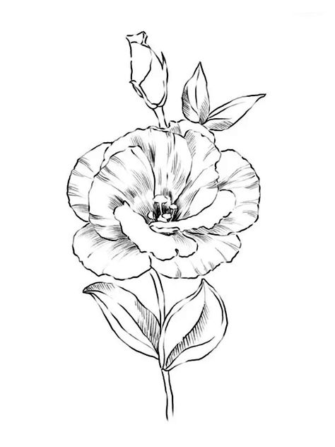 Lisanthius Tattoo, Lisianthus Drawing, Lisianthus Tattoo, Small Tats, Doodle Paint, Flower Line Drawings, Mother Tattoos, Zinnia Flowers, Flower Art Drawing