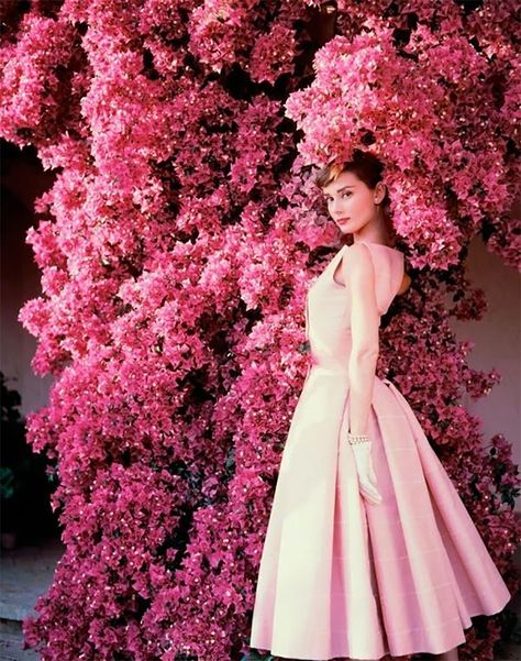 Style Icon Project: Audrey Hepburn and Bougainvillea - Kelly Golightly Audrey Hepburn Pink Dress Bougainvillea Norman Parkinson Norman Parkinson, Audrey Hepburn Dress, Aubrey Hepburn, Carmen Dell'orefice, Grace Coddington, Prinz Charles, Jean Shrimpton, Audrey Hepburn Style, Hepburn Style