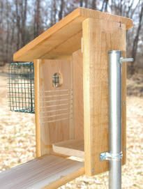 Nestbox Plans – North American Bluebird Society Bluebird House Plans, Blue Bird House, Bird House Plans Free, Bird Feeder Plans, Homemade Bird Houses, Bird House Feeder, Bluebird House, Nest Box, Bird House Plans