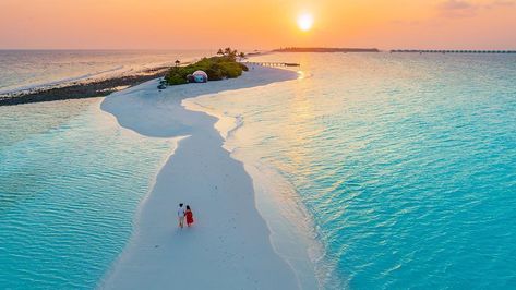 Finolhu Maldives on Instagram: “Pathway to the most amazing experience under the stars in our Beach Bubble @finolhu_maldives 📸: @jcobnasyr  #Finolhu #FinolhuMaldives…” Finolhu Maldives, Maldives Wallpaper, Kelly Nichols, Ship Wreck, Maldives Beach, The Bucket List, Nice Photos, Beach Wallpaper, Amazing Sunsets