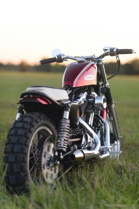 Harley Scrambler, Sportster Scrambler, Moto Bobber, Harley Davidson Scrambler, Army Photo, Hd Sportster, Sportster Bobber, Tracker Motorcycle, Scrambler Motorcycle