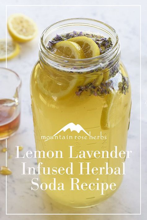 Herbal Mead Recipe, Homemade Apothecary, Tea Types, Ginger Bug, Mead Recipe, Lemon Vinegar, Fermented Drinks, Herbal Tonic, Lemon Uses