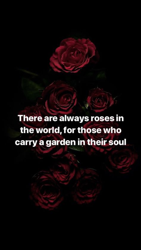 Poems With Roses, Quote Rose Flowers, Rose Quotes Poetry Short, Rose Flower Quotes Short Beautiful, Red Roses Quotes Beauty, Roses Quotes Aesthetic, Rose Quotes Poetry, Rose Quotes Inspirational Short, Red Roses Quotes