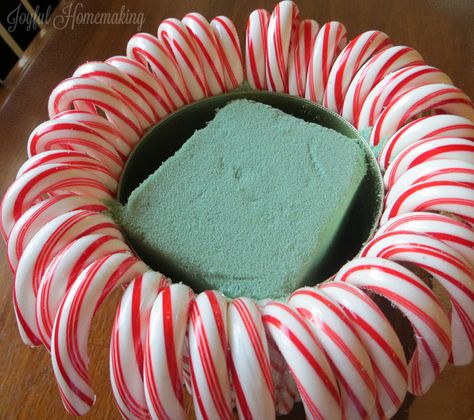 Beautiful Candy Cane Vase Flower Arrangement | Joyful Homemaking Candy Cane Vase Centerpiece, Candy Cane Floral Arrangement, Candy Cane Flower Arrangement, Christmas Centerpieces Flowers, Diy Christmas Floral Arrangements, Christmas Flower Arrangements Diy, Christmas Flowers Arrangements, Candy Cane Centerpiece, Candy Cane Vase