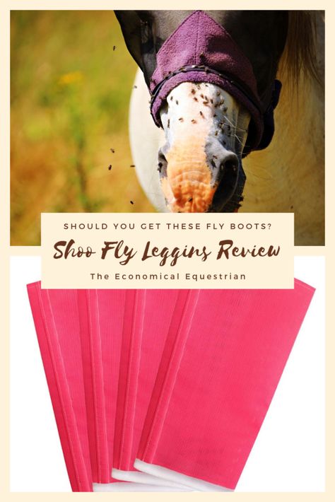 Shoo Fly Leggins - Are These Fly Boots Worth It? - Small Boots, Fly Boots, Shoo Fly, Horse Products, Horse Fly, Plastic Mesh, Horse Grooming, Well Read, Horse Care