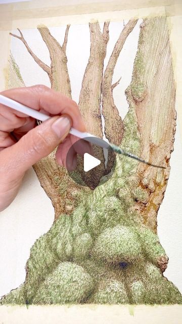 How To Draw Moss, Moss Drawing, Your Amazing, Drawing Tutorials, Giclée Print, Drop In, Limited Edition Prints, Drawing Tutorial, Limited Editions