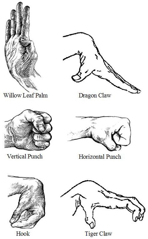 Shao Lin Quan Hand Positions – Phoenix Dragon Kung Fu Academy Kung Fu Moves, Hand Positions, Tiger Claw, Trening Sztuk Walki, Self Defense Moves, Kung Fu Martial Arts, Self Defense Martial Arts, Shaolin Kung Fu, Karate Martial Arts