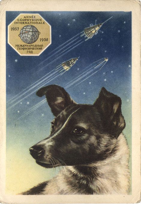 Soviet Space Dogs, Belka And Strelka, Laika Dog, Space Animals, Martin Parr, Space Dog, Space Race, Space Poster, Dog Poster