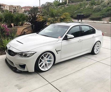 E36 Convertible, Bmw White, Bmw M Series, M3 F80, Serie Bmw, Bmw Performance, Bmw E30 M3, Bmw F30, Bmw Z3