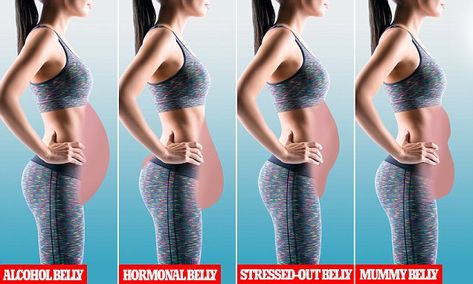 From hormonal to alcohol belly, what each stomach  type looks like | Daily Mail Online Alcohol Belly, Types Of Belly Fat, Muscle Abdominal, Belly Pooch, Bloated Stomach, Bloated Belly, Belly Fat Diet, Lower Belly Fat, Abdominal Fat