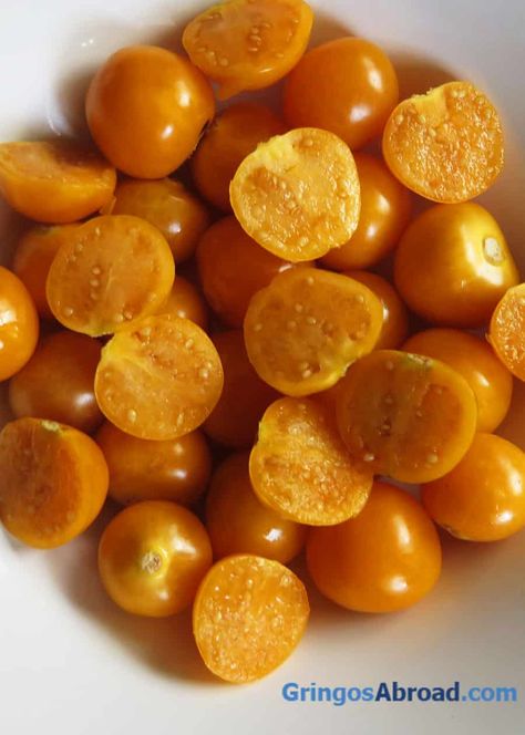 13 Facts About Ecuador's Golden Berry: Andean Uvilla Fruit Ecuador Food, Travel Ecuador, Gooseberry Recipes, Golden Berry, Golden Berries, 400 Calorie Meals, Weird Fruit, Cape Gooseberry, Ecuador Travel