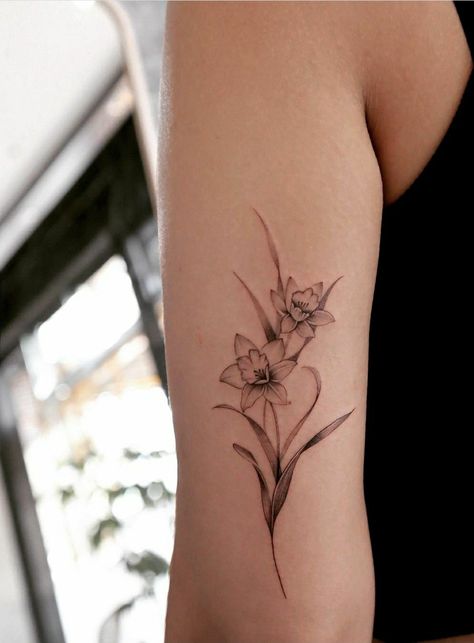 Daffodil Tattoo Realistic, Narcissus Line Tattoo, Daffodil Collar Bone Tattoo, Daffodil Bunch Tattoo, Narcissus And Gladiolus Flower Tattoo, Daffodil Tattoo Bouquet, Daffodil Vine Tattoo, Dafodill Flowers Tattoo Fine Line, Single Line Daffodil Tattoo