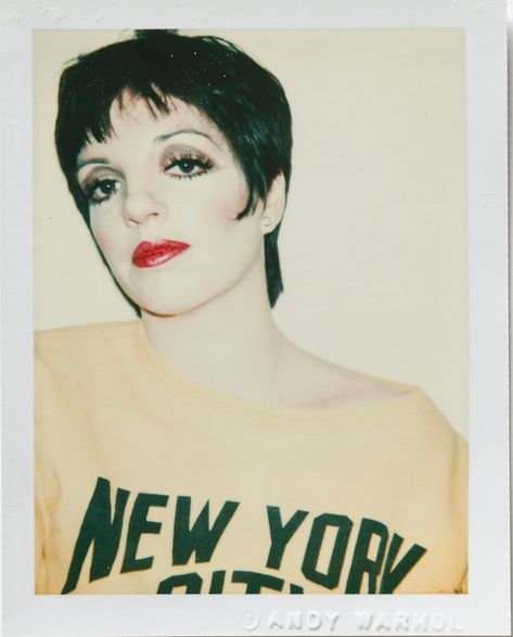 Warhol Polaroids, Andy Warhol Polaroids, Andy Warhol Portraits, Liza Minnelli, Photographers Gallery, Robert Rauschenberg, Celebrity Culture, Polaroid Pictures, Jean Michel Basquiat