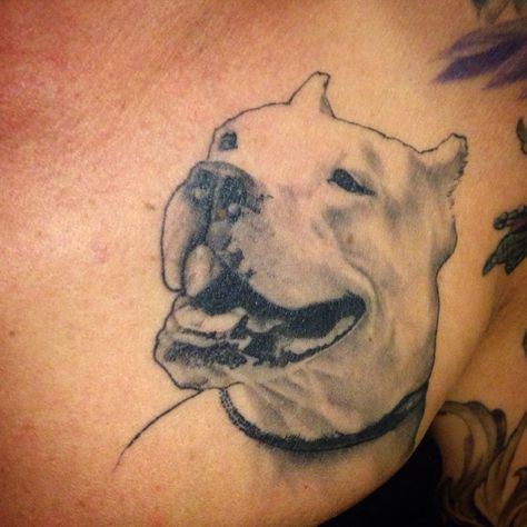 Dogo Argentino Tattoo, Pitbull Tattoo, Arm Tattoos For Women, Arm Tattoos, All Tattoos, Pitbull, Tattoos And Piercings, Arm Tattoo, I Tattoo