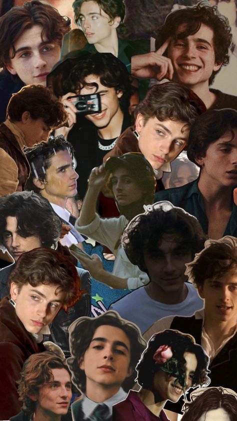 Timothee Chalamet Wallpaper, Hottest Male Celebrities, Timmy T, Regulus Black, Summer Romance, The Perfect Guy, Attractive Guys, Cute Celebrity Guys, Weird World