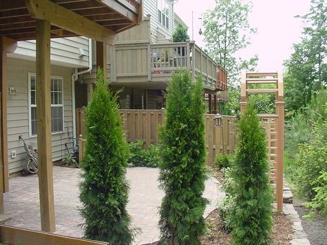 5 of the Best Townhouse Landscaping Ideas (and Pictures) for Alexandria and Arlington, VA Townhome Front Yard Landscaping, Townhome Landscape Front Yards, Townhouse Front Yard Landscaping, Townhouse Front Yard, Townhouse Landscaping, Privacy Screen Ideas, Patio Ideas Townhouse, Easy Garden Ideas, Patio Pavers Design