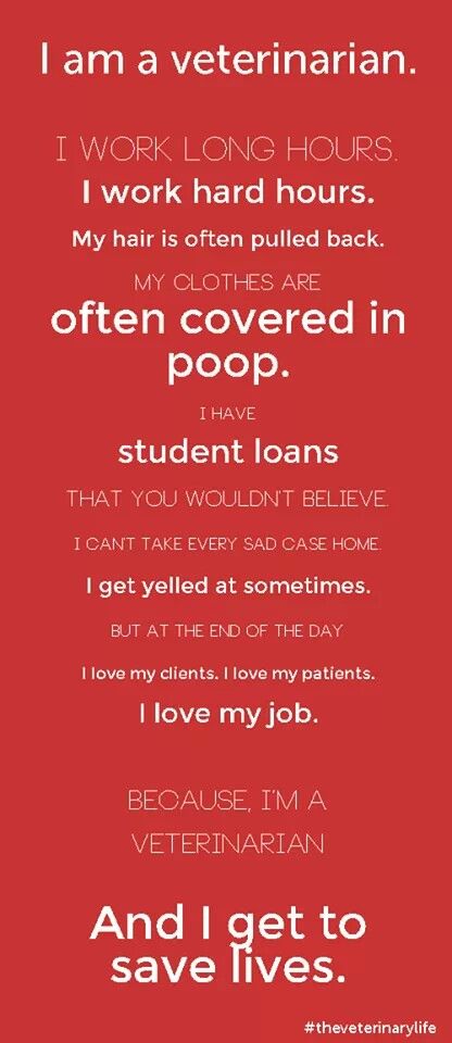 I am a veterinarian                                                                                                                                                                                 More Veterinarian Quotes, Vet School Motivation, Veterinary Humor, Becoming A Veterinarian, Veterinary School, Veterinary Science, Vet Medicine, My Future Job, Vet Assistant