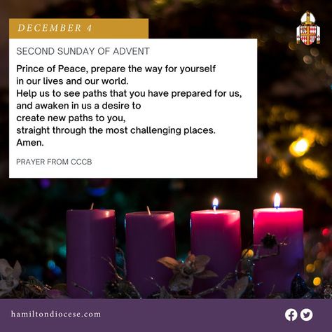 3rd Sunday Of Advent, Advent Peace, Advent Quotes, Second Sunday Of Advent, Advent Catholic, Advent Prayers, Prince Of Peace, Epiphany, Advent