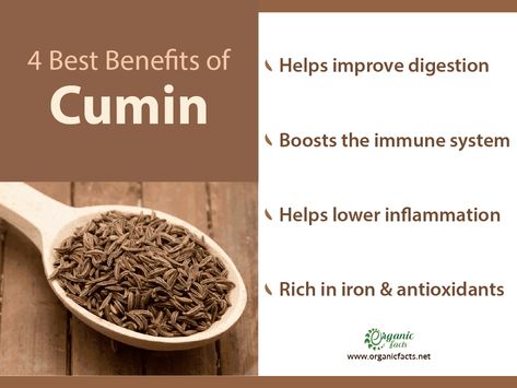 Cumin Seeds Benefits, Benefits Of Cumin, Cumin Plant, Cumin Benefits, Health Benefits Of Cumin, Seeds Benefits, Lower Inflammation, Boost Immunity, Cumin Seeds