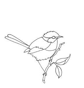 Blue Wren Tattoo, Wren Tattoo, Little Bird Tattoos, Tattoo Outline, Wren, Birds Tattoo, Little Bird, Body Art, Tatting