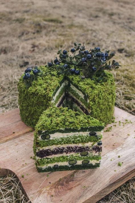 Cake Forest, Moss Cake, Fairy Food, 3 Cake, Love Birthday, For My Love, Pretty Dessert, Cute Baking, Super Secret