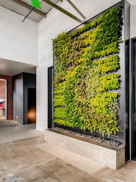 Office | Plants | Interior | Inspiration | Vertical garden | Green wall Planting Bulbs In Spring, Green Plant Wall, Green Wall Design, Indoor Plant Wall, Herb Wall, Vertical Garden Indoor, Living Wall Decor, Pergola Design, Garden Solutions