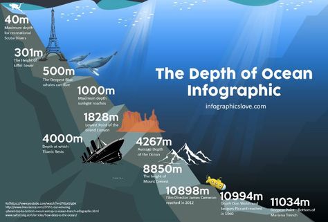 Obscure facts about the ocean Ocean Diagram, Ap Environmental Science, Medical Mnemonics, Save The Whales, Ocean Depth, Oceanography, Deep Ocean, Marine Biology, Science Facts