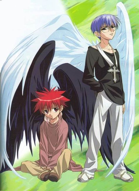 Anime Angel and Demon | Anime angels and demons Dn Angel Manga, Dn Angel, D N Angel, Winged People, Phantom Thief, Xavier Rudd, Anime Items, Anime D, Anime Group