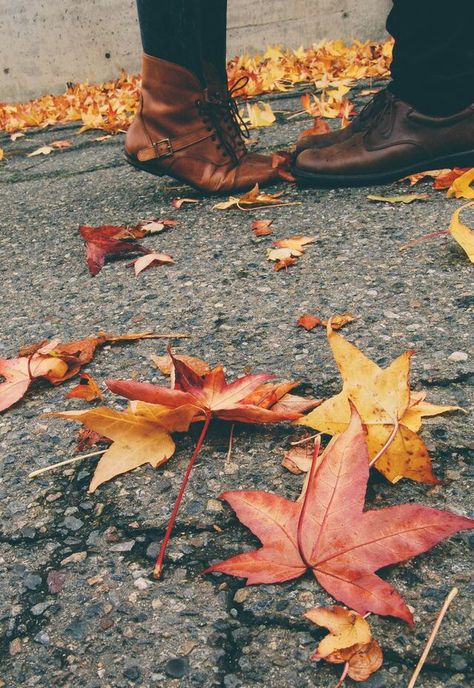 Fall in love! Lovers Quotes, Shooting Photo, Best Seasons, Fall Pictures, Fall Engagement, Autumn Aesthetic, Fall Photos, On The Ground, Autumn Photography