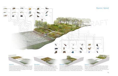 Landscape Architecture Presentation, Landscape Diagram, Landscape Architecture Graphics, Urban Design Diagram, Urban Design Graphics, Green Wedges, Ecology Design, Architecture Presentation Board, Urban Farm