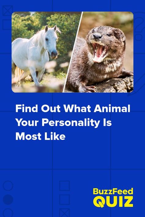 https://www.pinterest.com/pin/680395456213844285/ #quiz #quizzes #buzzfeed #triviaquestionsandanswers #quizzesbuzzfeed #trivia #quizzesforfun #funquiz #spiritanimal What Animal Am I Quiz, What Animal Am I, What Is My Spirit Animal, Spirit Animal Test, Spirit Animal Quiz, Find Your Spirit Animal, What Animal Are You, Personality Game, Animal Quiz