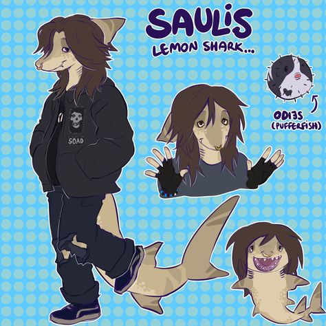 Cool Fursona Species, Dolphin Fursona, Shark People Art, Anthro Shark Character Design, Shark Fursona Art, Octopus Fursona, Shark Person Character Design, Monster Fursona, Seal Fursona