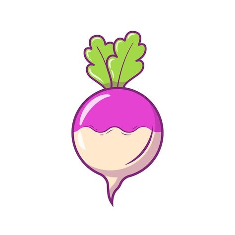 Fresh turnip vegetable vector illustrati... | Premium Vector #Freepik #vector #turnip #vegan #vegetable-cartoon #vegetarian Turnip Vegan, Turnip Vegetable, Vegetable Drawing, Vegetable Cartoon, Garden Vegetables, Fall Garden Vegetables, Turnips, Doughnut Recipe, Doodle Coloring