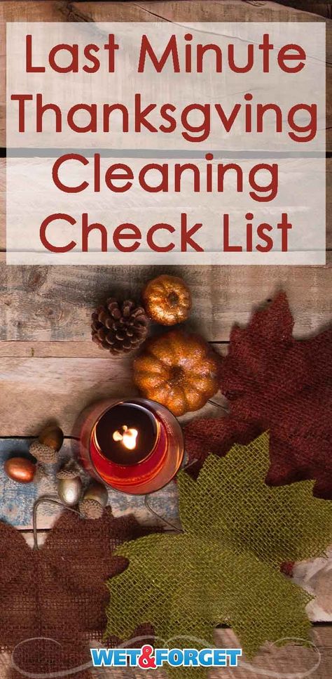 Running out of time to clean for Thanksgiving? Don't fret! Cleaning can be easy when following this quick checklist. Turkey Food, Clean My House, Running Out Of Time, Cleaning List, Out Of Time, Thanksgiving Activities, Cleaning Checklist, Best Seasons, Writing Life