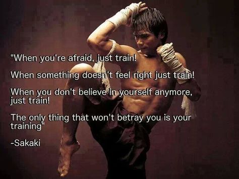 ~Truth~ Martial Arts Quotes, Trening Sztuk Walki, Abs Training, Man Up Quotes, Pencak Silat, Ju Jitsu, Training Motivation, Martial Arts Training, Warrior Quotes