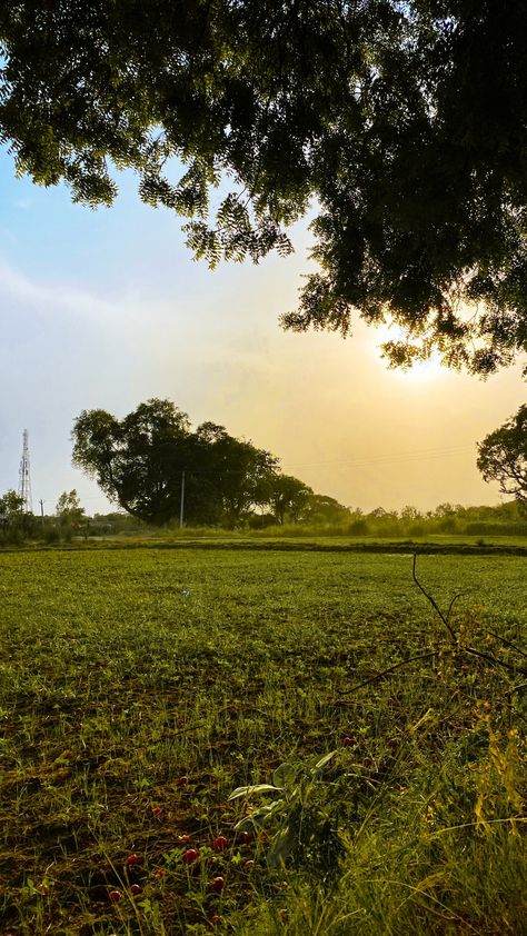 Sunrise 
Sunrise in Village
Nature Scene
Sunrise Photography Natural Village Pic, Morning Nature Snap, Village Vibes Snap, Village Morning Snap, Village Vibes Aesthetic, Village Morning Photography, Sun Rise Photography Mornings, Morning View Snap, Morning View Snapchat