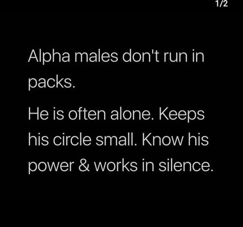 Alpha Male Quotes, Alpha Male Traits, Alpha Quote, Alpha Werewolf, Werewolf Aesthetic, Science Guy, Mm Romance, Business On Instagram, Self Care Bullet Journal