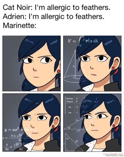 Miraculous Ladybug Memes, Miraculous Ladybug Fanfiction, Ladybug Anime, Marinette And Adrien, Memes Hilarious, Miraculous Ladybug Fan Art, Miraculous Ladybug Funny, Ladybug Comics, Miraculous Ladybug Comic