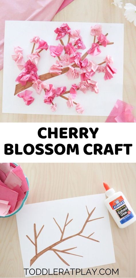 For this Cherry Blossom Craft we’re using good old tissue paper to create beautiful, Spring blossoms.  #tissuepapercraft #cherryblossomcraft #springcrafts  #tissuepapercherryblossoms Cherry Blossom Craft, Blossom Craft, Spring Arts And Crafts, Tissue Paper Craft, April Crafts, Tissue Paper Crafts, Desain Buklet, Toddler Arts And Crafts, Spring Preschool