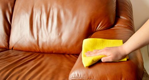 Wanting to know how to get cat pee out of leather? We cover 5 methods you can use to remove cat urine from furniture, clothing, shoes, and much more. Cleaning Leather Couch, Cat Urine Remover, Cat Pee Smell, Cat Urine Smells, Urine Smells, Deep Carpet Cleaning, Urine Stains, Clean Couch, Carpet Cleaning Hacks