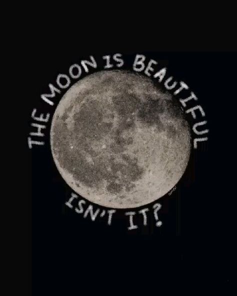 Moon Spotify Cover, Moon Core Aesthetic, Moon Aesthetic Pfp, The Moon Is Beautiful Isn't It, Moon Pfp Aesthetic, Selenophile Aesthetic, Black Sorrow, Mooncore Aesthetic, Eclipse Aesthetic