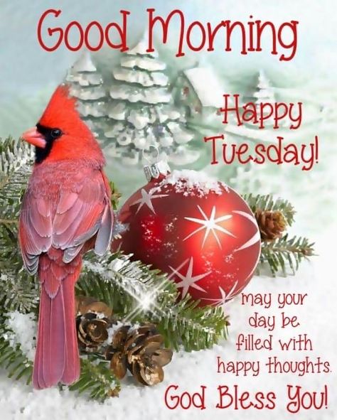 Tuesday Quotes Good Morning, Labor Day Quotes, Tuesday Greetings, Good Morning Christmas, Good Morning Tuesday, Morning Quotes Images, Good Morning Prayer, Blessed Life, Morning Everyone